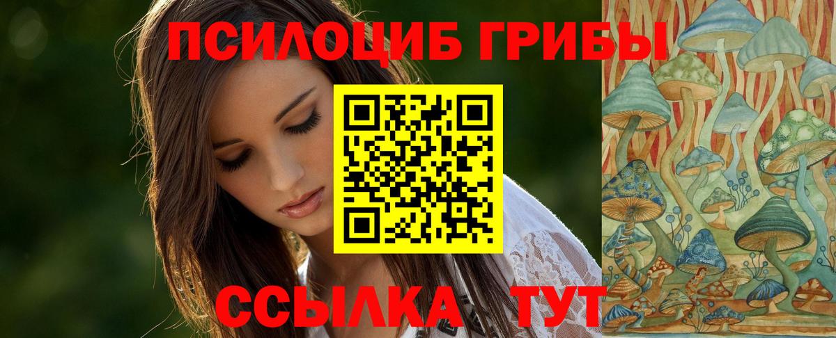 Псилоцибиновые грибы мицелий  Вход с VPN  Новокубанск 