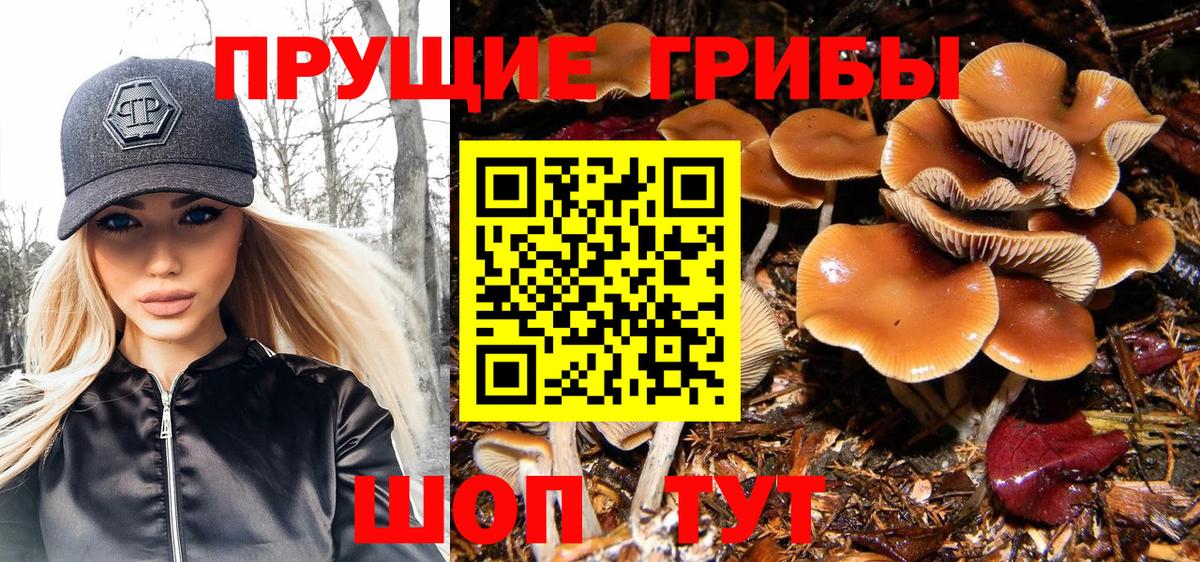 Галлюциногенные грибы ЛСД Новокубанск