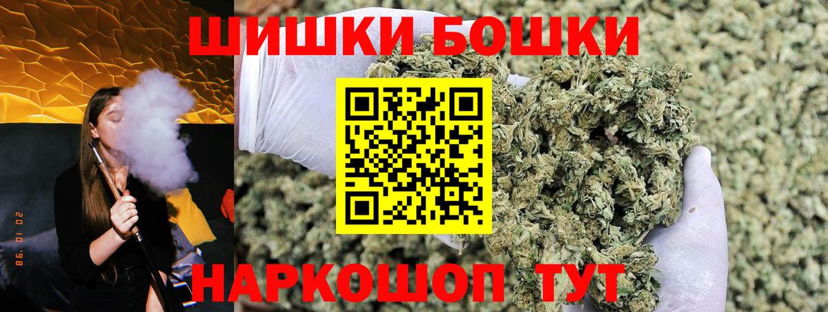 Конопля гибрид Новокубанск